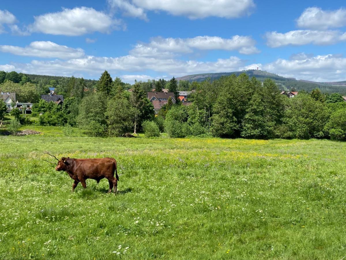 Berglage - Das Urlaubzuhause Braunlage Esterno foto